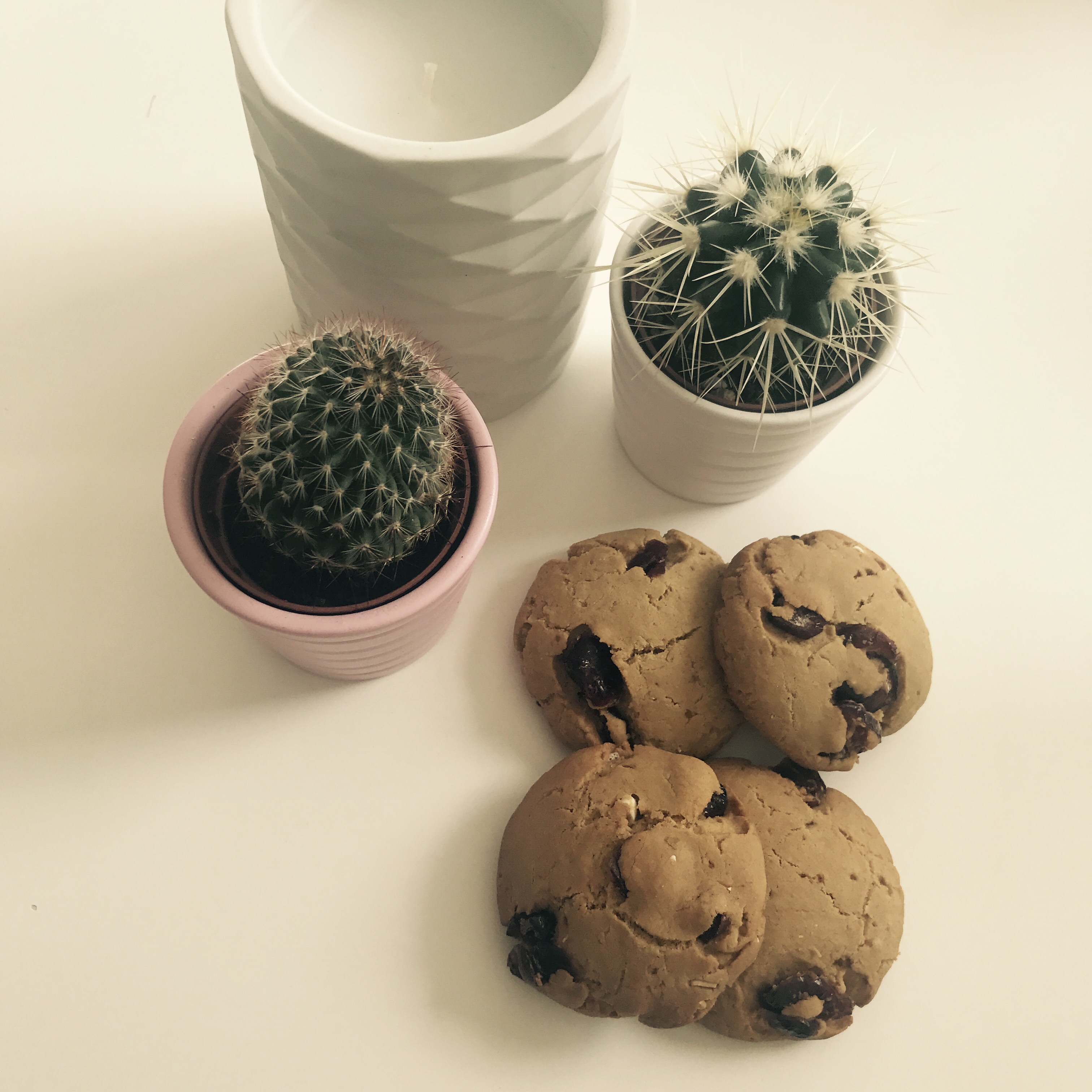 Cookies aux Cranberrys